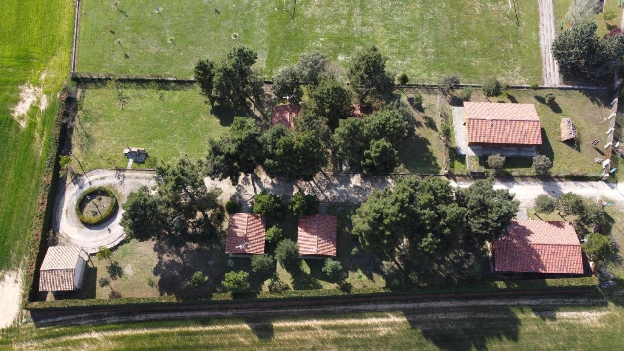 Las Casitas Del Pinar Bayubas de Abajo Zewnętrze zdjęcie