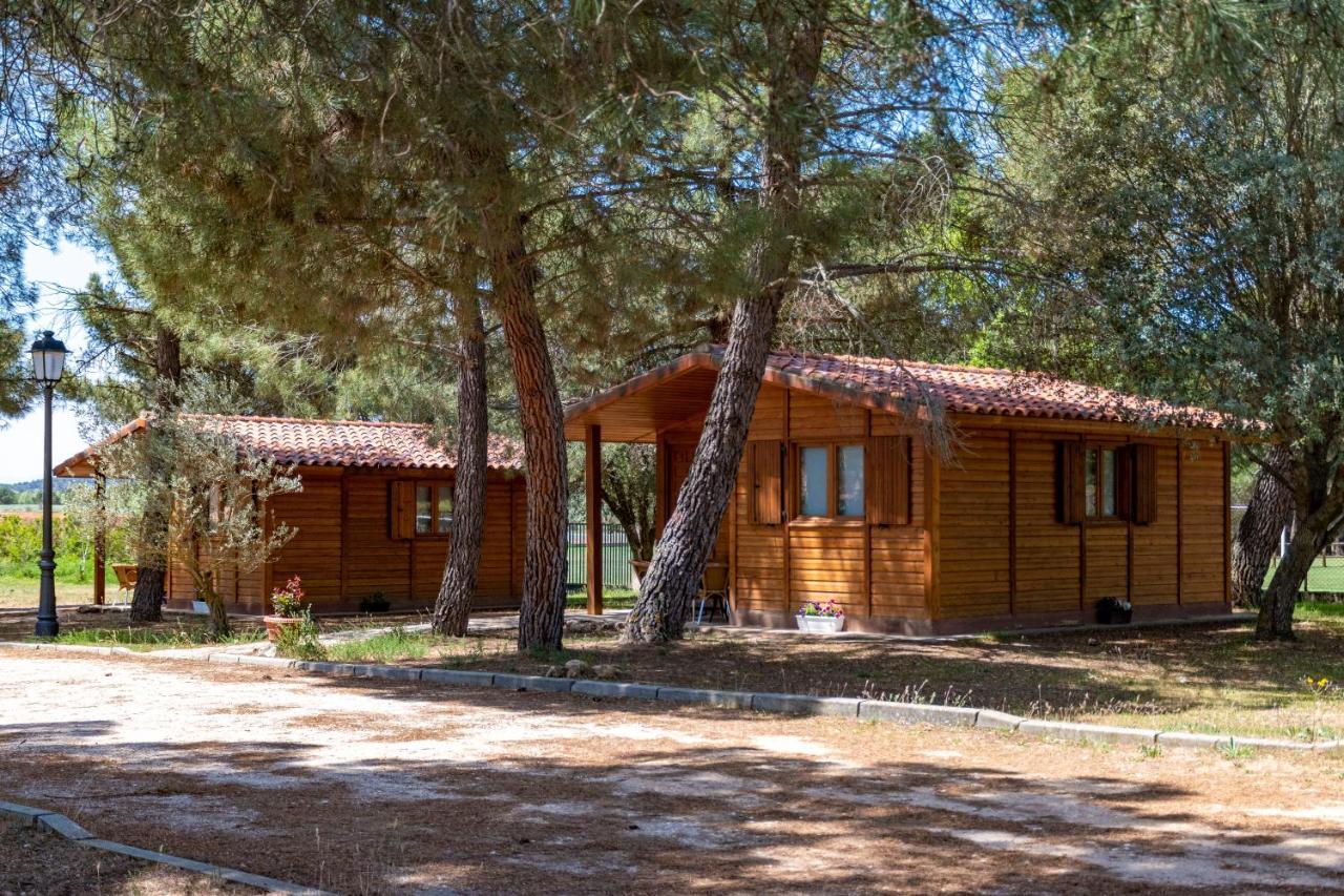 Las Casitas Del Pinar Bayubas de Abajo Zewnętrze zdjęcie